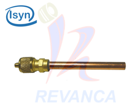 [04010018] VALVULA DE SERVICIO (GUSANILLO)